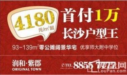润和地产最新爆料,揭秘神秘项目，引领城市未来新篇章”
