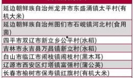 吉林四平头条最新爆料,揭秘吉林四平重大事件！”